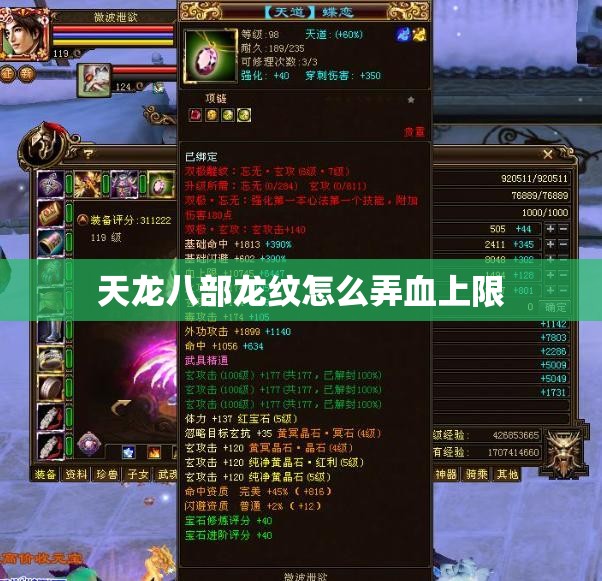 天龙八部龙纹怎么弄血上限 天龙八部龙纹怎么弄血上限