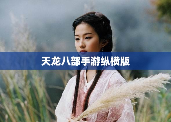 天龙八部私服纵横版