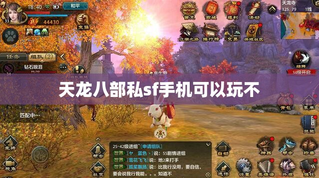 天龙八部私sf手机可以玩不 天龙八部私sf手机可以玩不