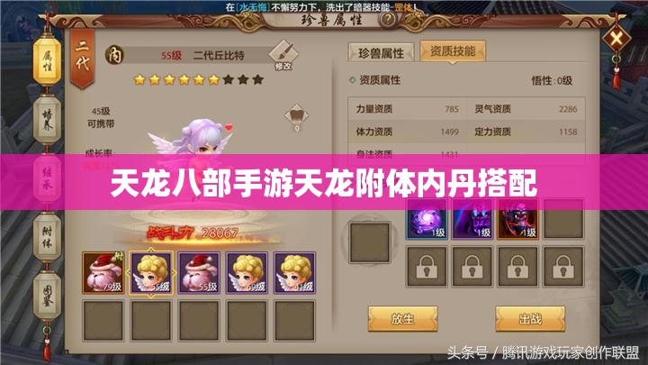 天龙八部私服天龙附体内丹搭配