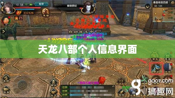 天龙八部个人信息界面 天龙八部个人信息界面