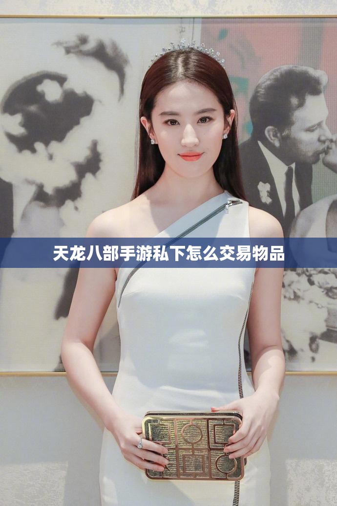 天龙八部私服私下怎么交易物品 天龙八部私服私下怎么交易物品