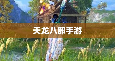 天龙八部私服 天龙八部私服