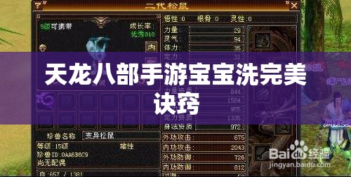 天龙八部私服宝宝洗完美诀窍