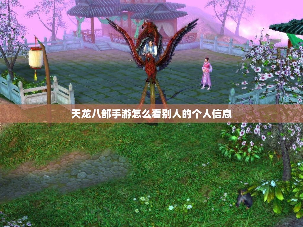 天龙八部私服怎么看别人的个人信息