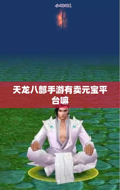 天龙八部私服有卖元宝平台嘛