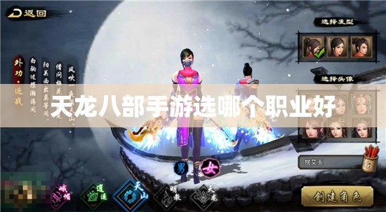 天龙八部私服选哪个职业好