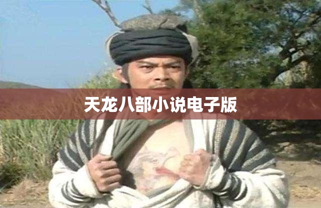 天龙八部小说电子版 天龙八部小说电子版