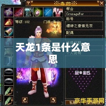 天龙1条是什么意思 天龙1条是什么意思