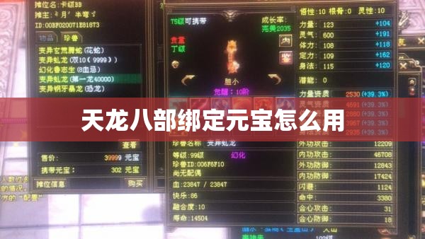 天龙八部绑定元宝怎么用 天龙八部绑定元宝怎么用