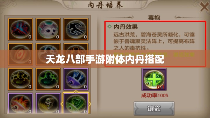 天龙八部私服附体内丹搭配