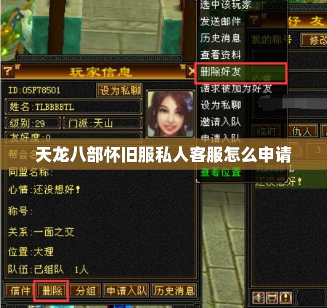 天龙八部怀旧服私人客服怎么申请 天龙八部怀旧服私人客服怎么申请