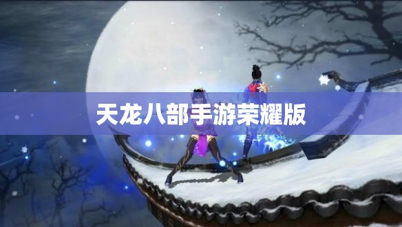 天龙八部私服荣耀版