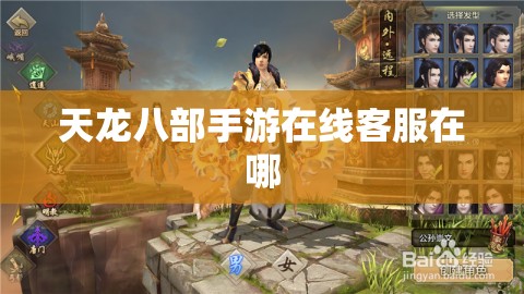 天龙八部私服在线客服在哪