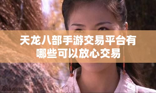 天龙八部私服交易平台有哪些可以放心交易