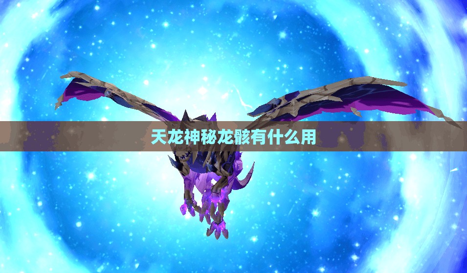天龙神秘龙骸有什么用 天龙神秘龙骸有什么用