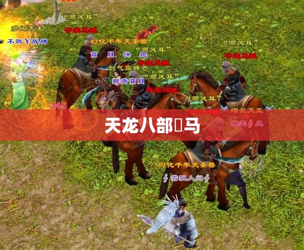 天龙八部駮马 天龙八部駮马