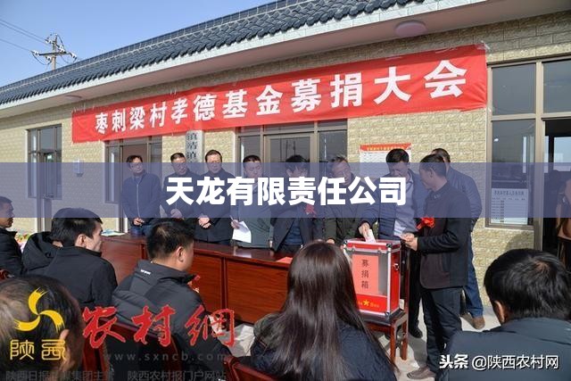 天龙有限责任公司 天龙有限责任公司