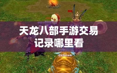 天龙八部私服交易记录哪里看