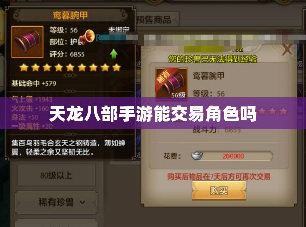 天龙八部私服能交易角色吗