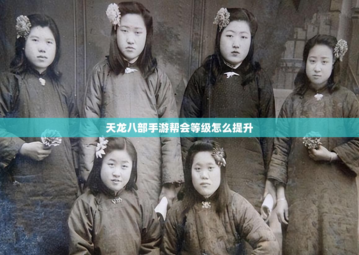 天龙八部私服帮会等级怎么提升