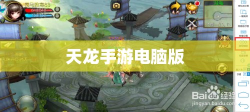 天龙手游电脑版 天龙手游电脑版