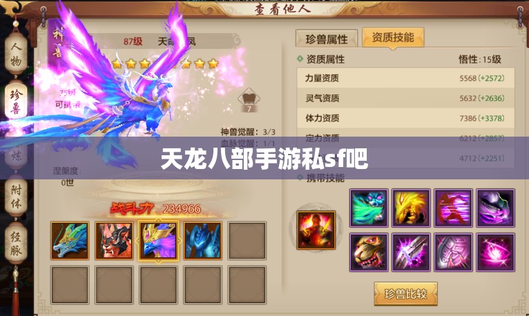 天龙八部私服私sf吧