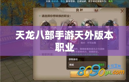 天龙八部私服天外版本职业 天龙八部私服天外版本职业