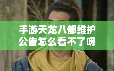 手游天龙八部维护公告怎么看不了呀 手游天龙八部维护公告怎么看不了呀