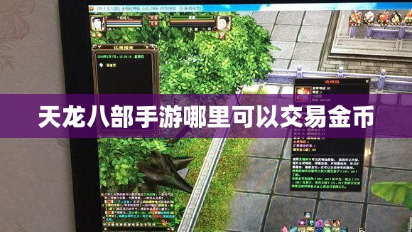 天龙八部私服哪里可以交易金币