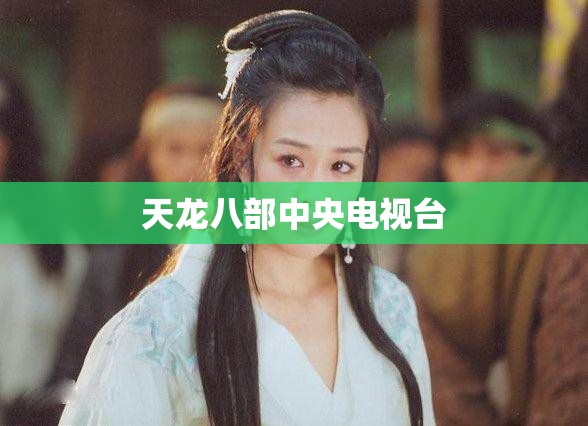 天龙八部中央电视台 天龙八部中央电视台