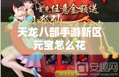 天龙八部私服新区元宝怎么花 天龙八部私服新区元宝怎么花