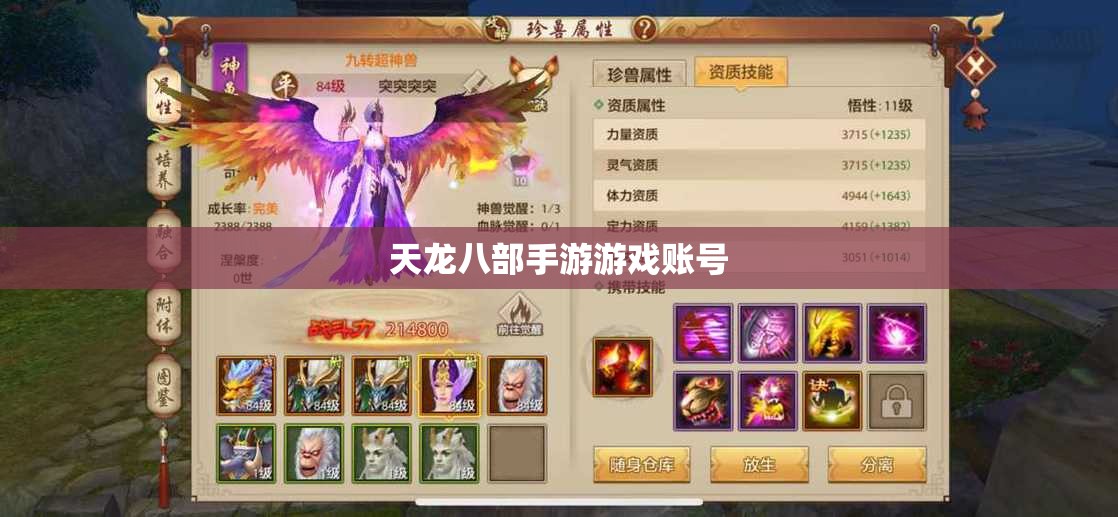 天龙八部私服游戏账号