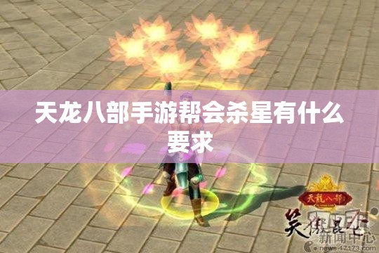 天龙八部私服帮会杀星有什么要求