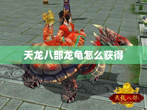 天龙八部龙龟怎么获得 天龙八部龙龟怎么获得