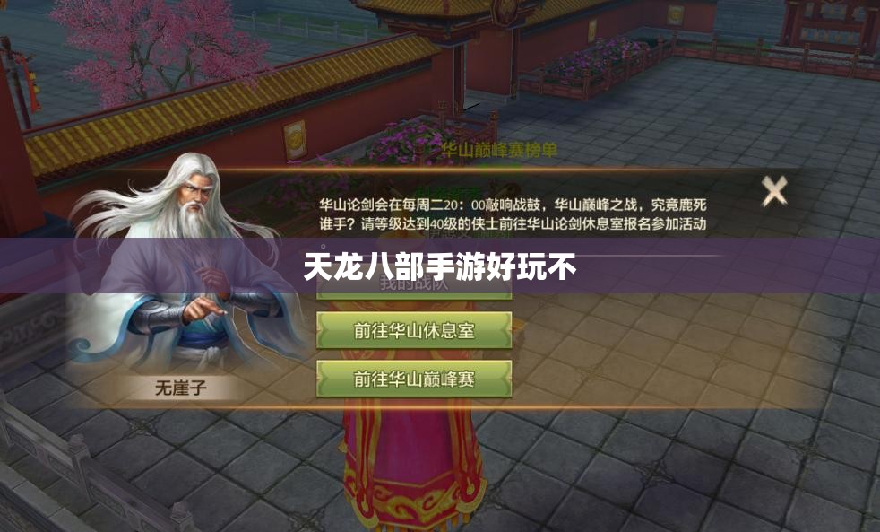 天龙八部私服好玩不 天龙八部私服好玩不