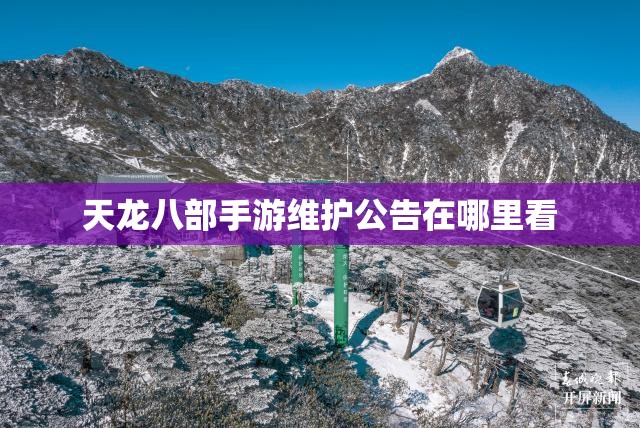 天龙八部私服维护公告在哪里看 天龙八部私服维护公告在哪里看