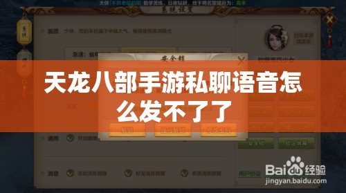 天龙八部私服私聊语音怎么发不了了