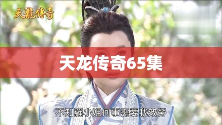 天龙传奇65集 天龙传奇65集