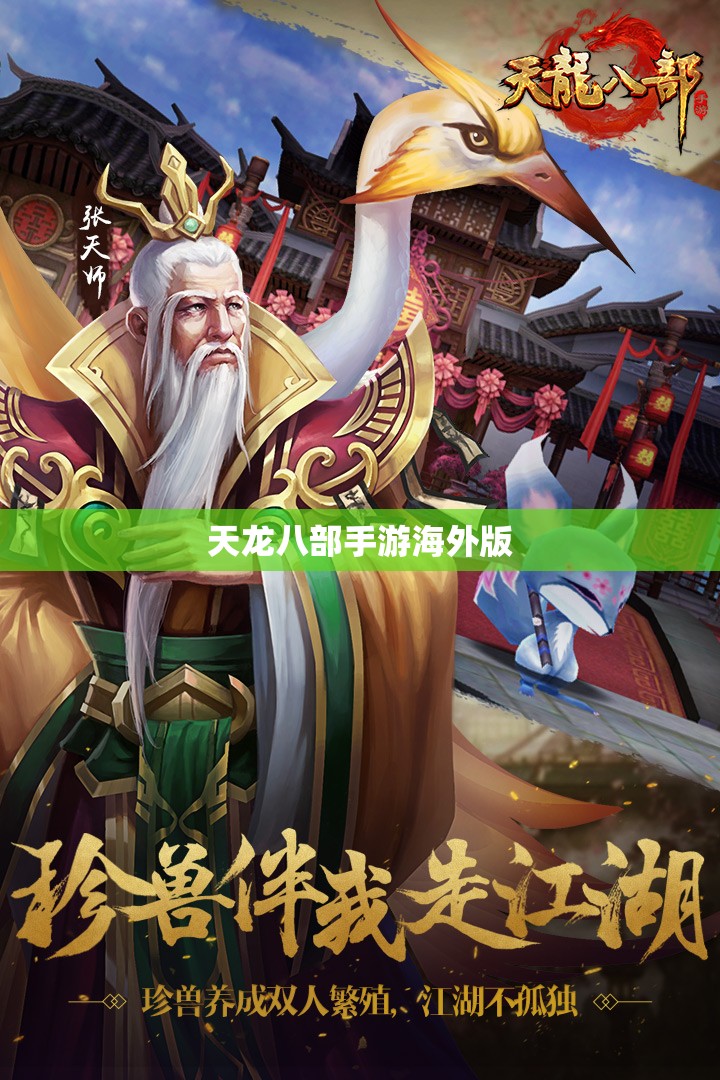 天龙八部私服海外版 天龙八部私服海外版