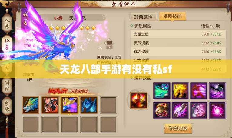 天龙八部私服有没有私sf