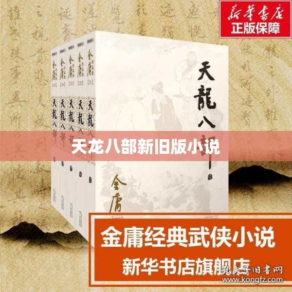 天龙八部新旧版小说 天龙八部新旧版小说
