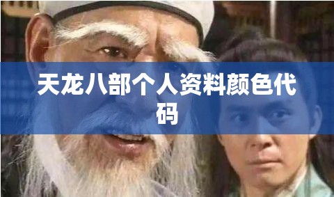 天龙八部个人资料颜色代码 天龙八部个人资料颜色代码