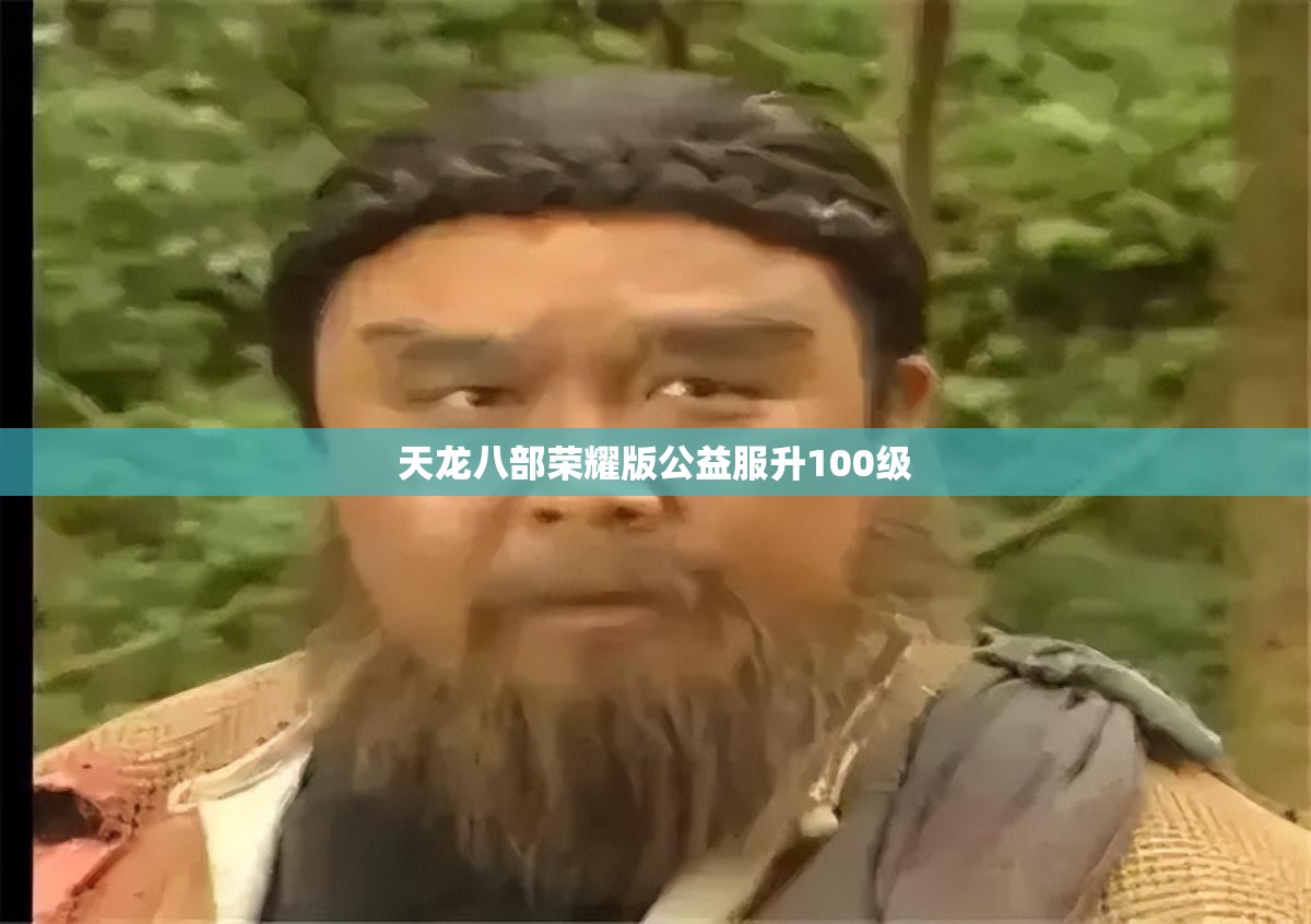 天龙八部荣耀版公益服升100级