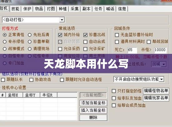 天龙脚本用什么写