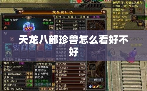 天龙八部珍兽怎么看好不好