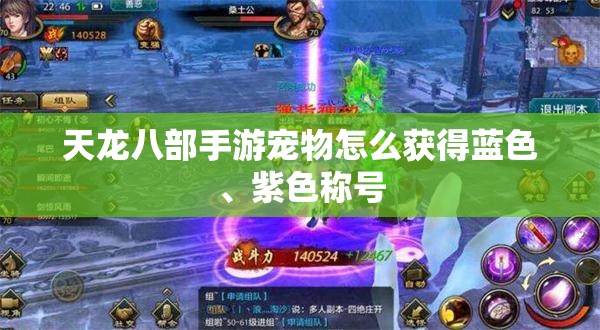 天龙八部私服宠物怎么获得蓝色、紫色称号