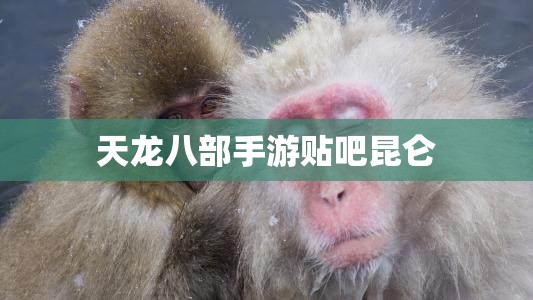 天龙八部私服贴吧昆仑 天龙八部私服贴吧昆仑