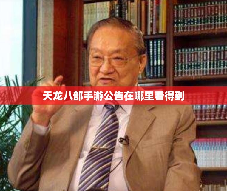 天龙八部私服公告在哪里看得到