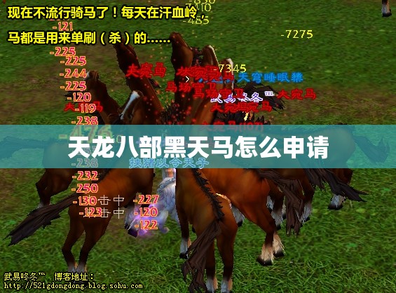 天龙八部黑天马怎么申请 天龙八部黑天马怎么申请